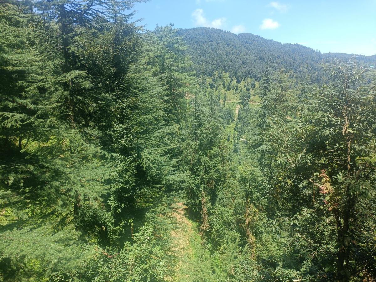 Peace Holiday Homestay Chail Extérieur photo