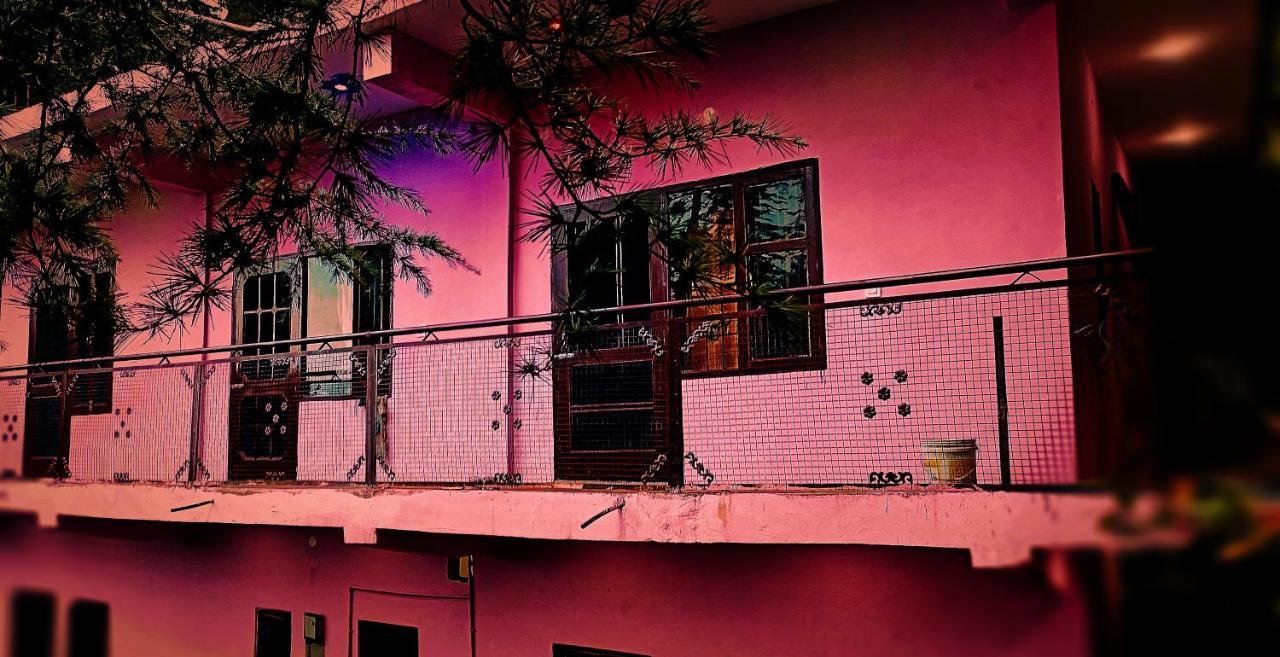 Peace Holiday Homestay Chail Extérieur photo