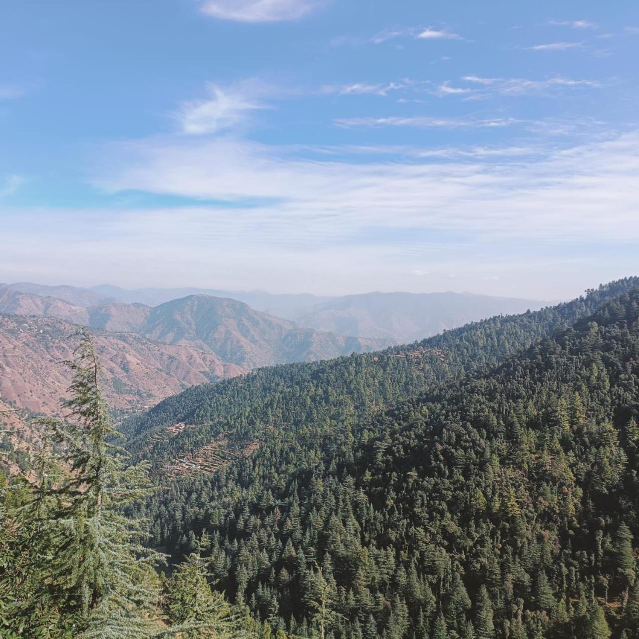 Peace Holiday Homestay Chail Extérieur photo