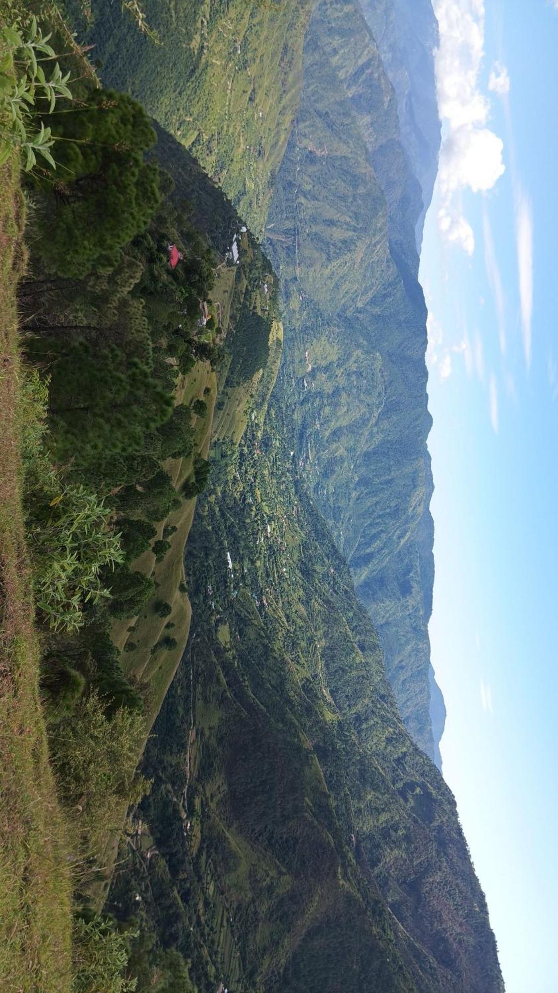 Peace Holiday Homestay Chail Extérieur photo