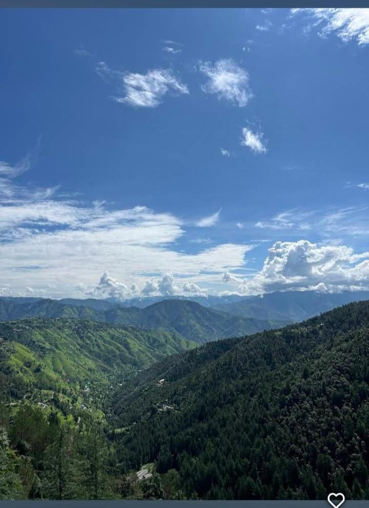 Peace Holiday Homestay Chail Extérieur photo